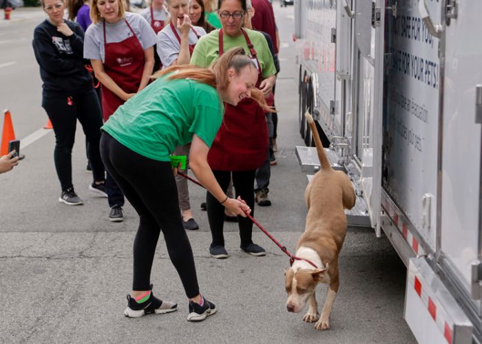 a woman helps a dog exist a transport vehicle