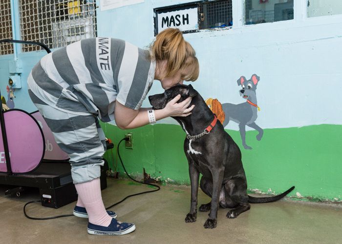 Image of a woman in a prison jumpsuit kisses a dog on the head