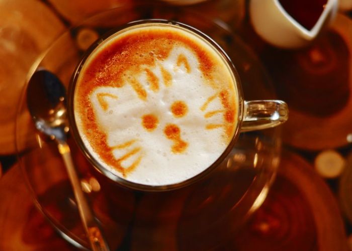 a cat design atop a latte
