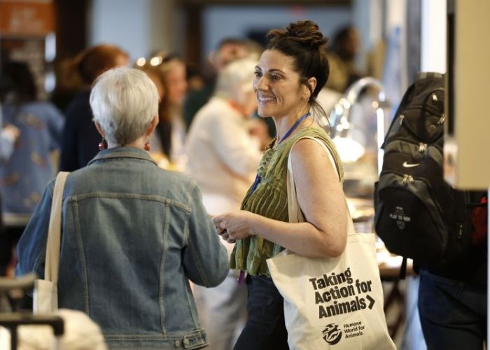 Attendees chat at Taking Action for Animals 2025