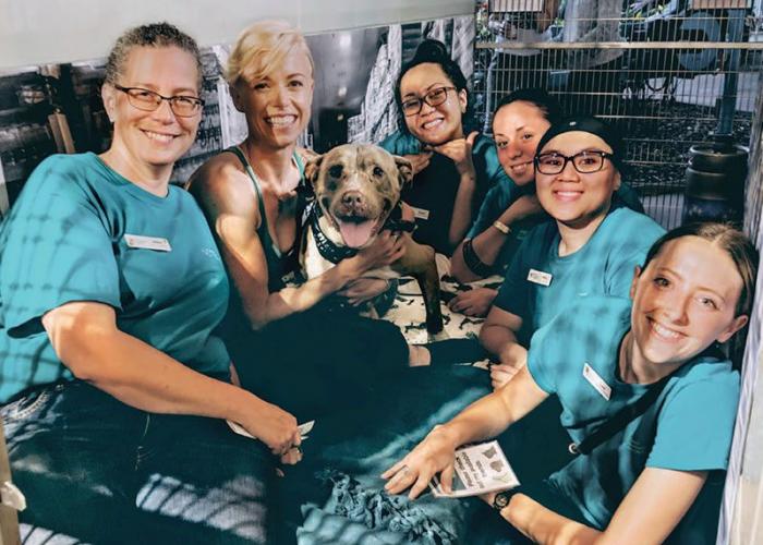 Maui Humane Society’s Spring Fling Slumber Party