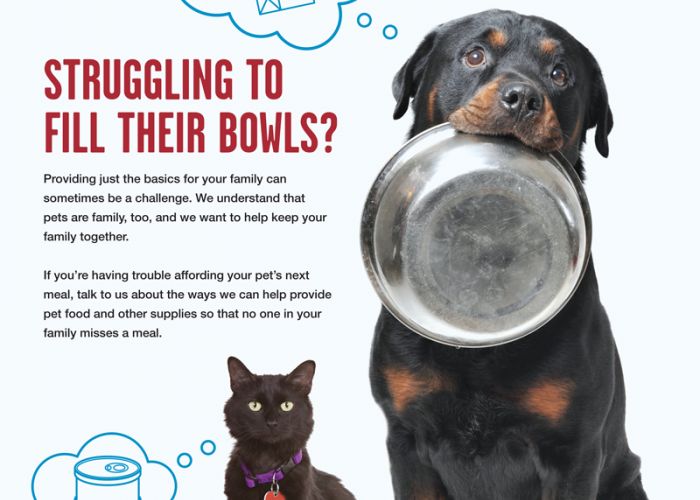Struggling to fill their bowls?