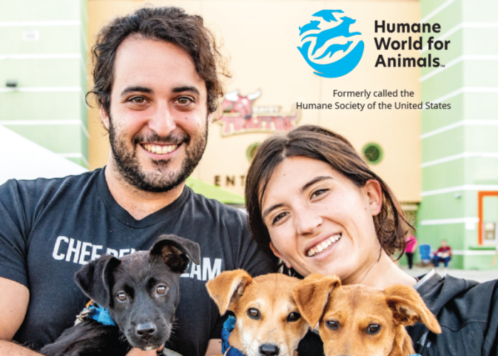 Spanish Phrases for Animal Care Organizations