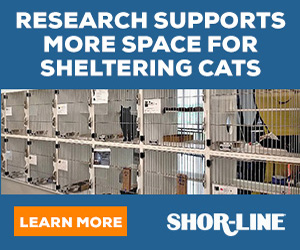 research supports more space for shelter cats learn more at shor-line