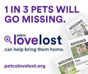 Petco love lost can help bring lost pets home