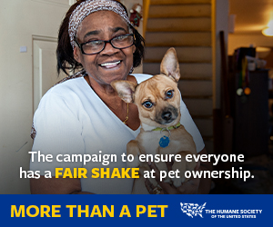 more than a pet - the campaign to ensure everyone has a fair share at pet ownership