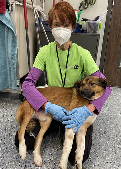 A masked woman holds a dog.