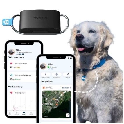 DocuPet Home Safe