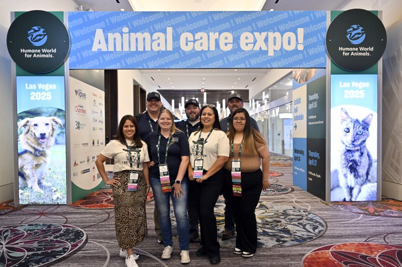Group of attendees under an Expo sign