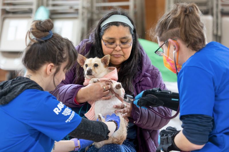 Brandi Markishtum holds pup Lola for a veterinary exam by veterinarian Colleen Cassidy, right, and veterinary assistant Sara Michelassi during the RAVS clinic serving the Quinault Nation.