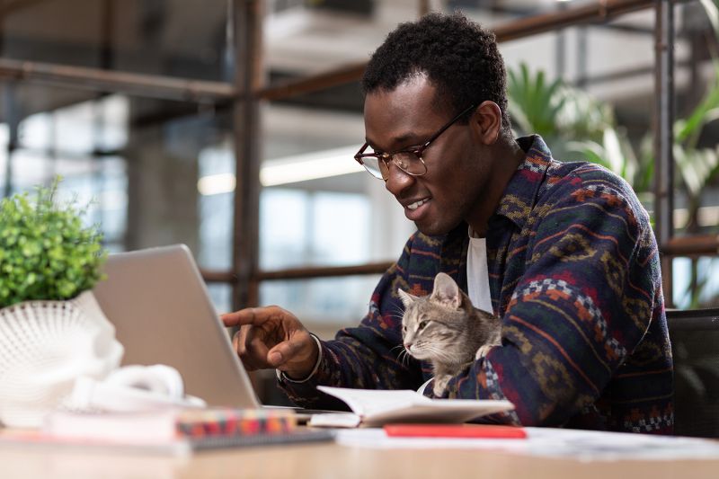 African American man at a laptop with a cat on his lap.