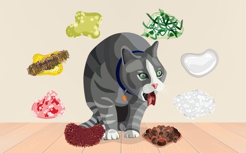 illustration of a retching cat