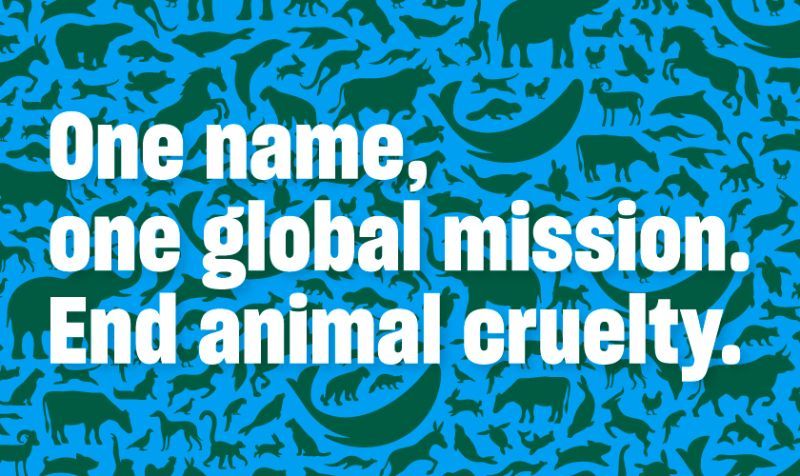 one name one global mission to end animal cruelty