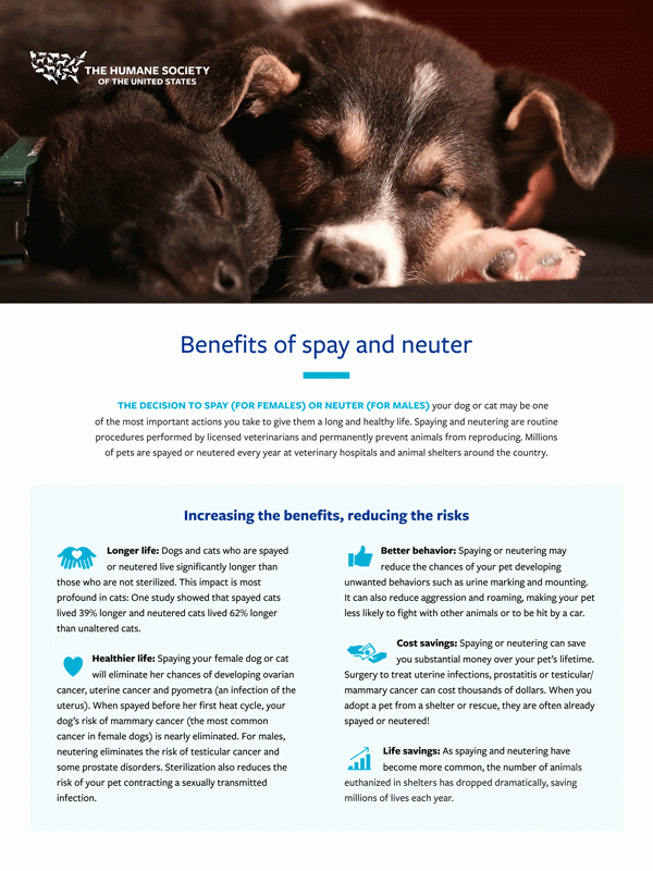 Benefits of spay/neuter