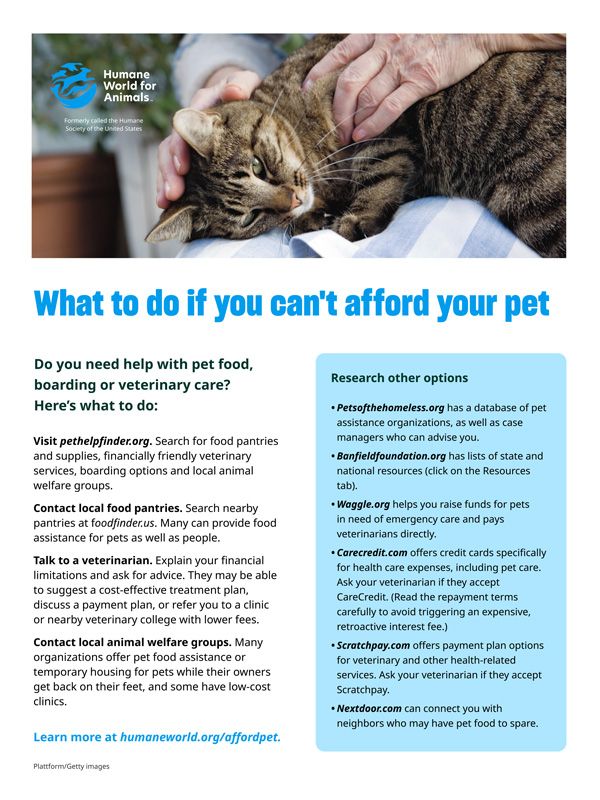 What to do if you can’t afford your pet