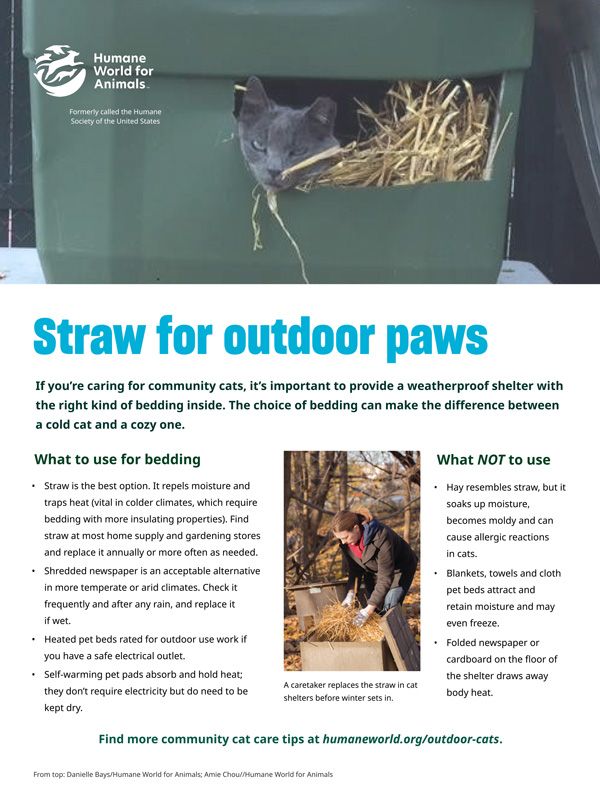 Straw for Outdoor Paws
