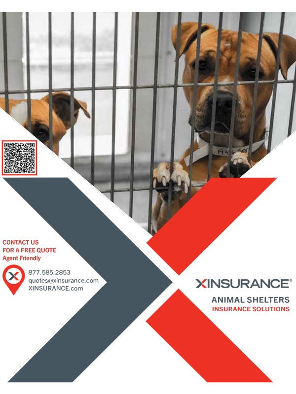 XINSURANCE: Animal Shelters Insurance Solutions
