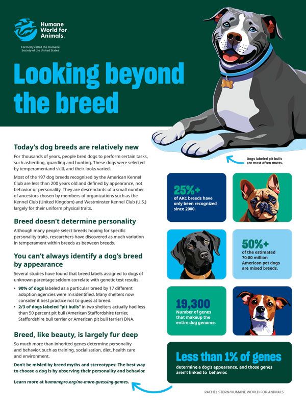 looking beyond the breed