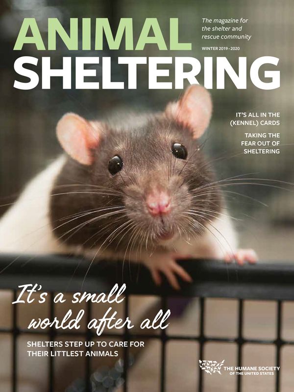 Animal Sheltering Winter 2019 cover