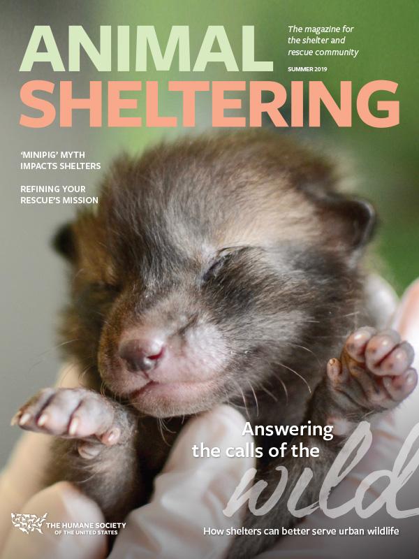Animal Sheltering Summer 2019