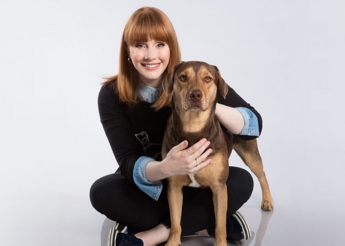 actress bryce dallas howard poses with a dog