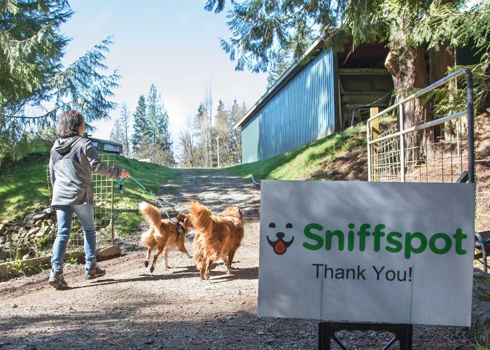 A woman walks two dogs, at a Sniffspot property 