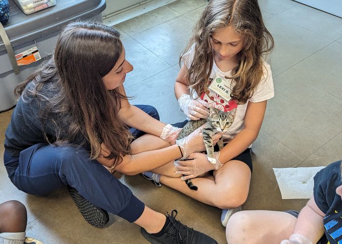 A humane educator at Camp Happy Tails helps a child hold a small kitten.