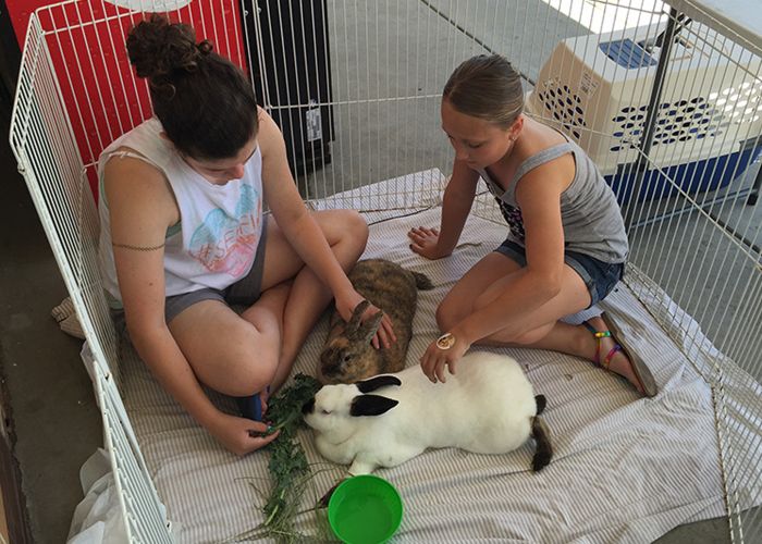 two girls sit inside an enclosure with two rabbits