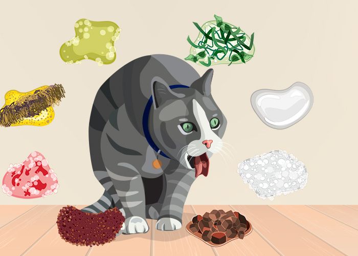 illustration of a retching cat